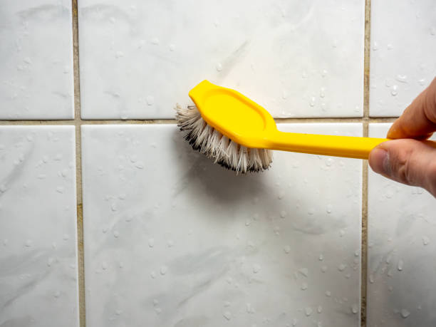 Best Preventive Mold Services in Belmont, VA