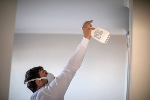 Best Bathroom Mold Remediation in Belmont, VA