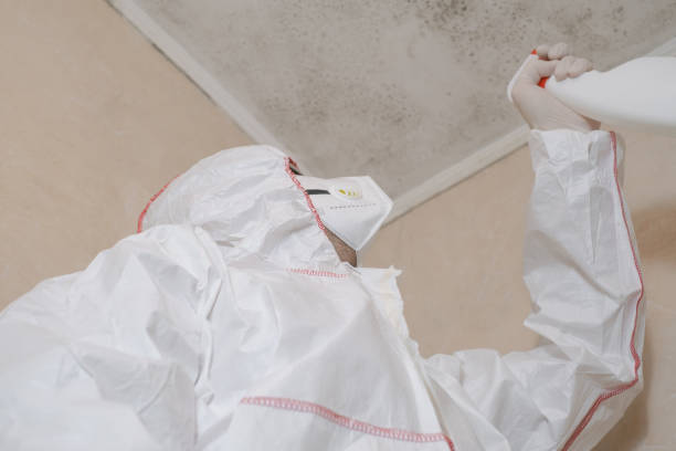Trusted Belmont, VA Mold Remediation Experts
